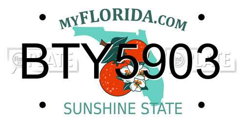 BTY5903 Florida License Plate