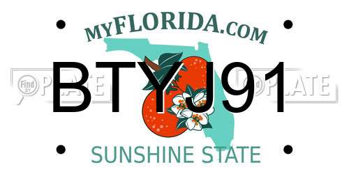 BTYJ91 Florida License Plate