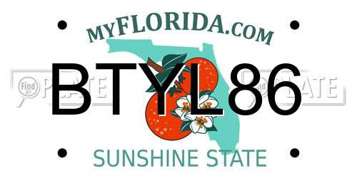 BTYL86 Florida License Plate
