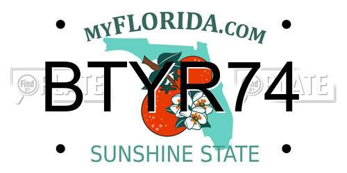 BTYR74 Florida License Plate