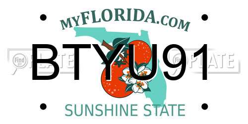 BTYU91 Florida License Plate
