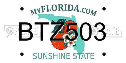 BTZ503 Florida License Plate