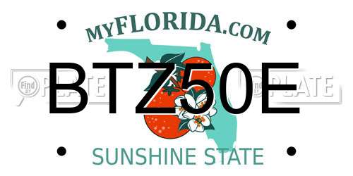 BTZ50E Florida License Plate