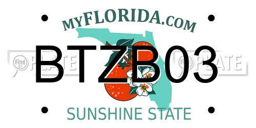 BTZB03 Florida License Plate