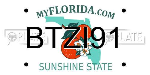 BTZI91 Florida License Plate
