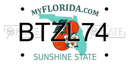 BTZL74 Florida License Plate