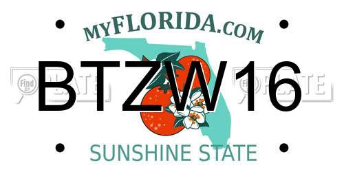BTZW16 Florida License Plate