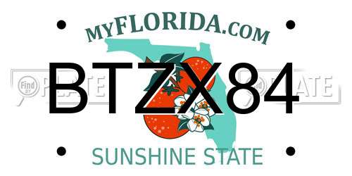 BTZX84 Florida License Plate