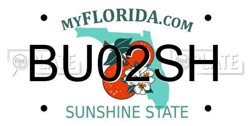 BU02SH Florida License Plate