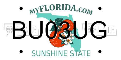 BU03UG Florida License Plate
