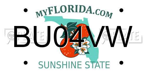 BU04VW Florida License Plate