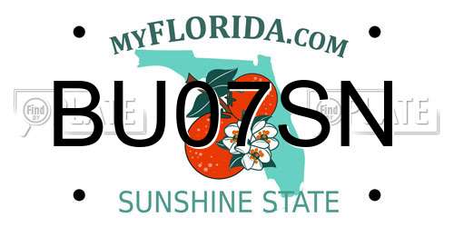 BU07SN Florida License Plate