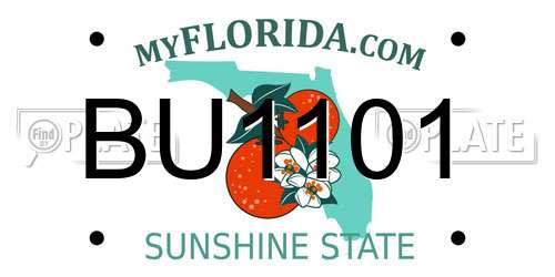 BU1101 Florida License Plate
