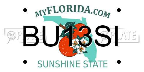 BU13SI Florida License Plate