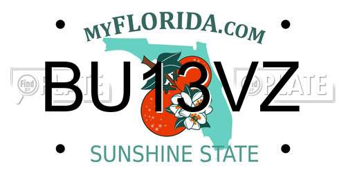 BU13VZ Florida License Plate