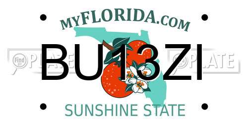 BU13ZI Florida License Plate