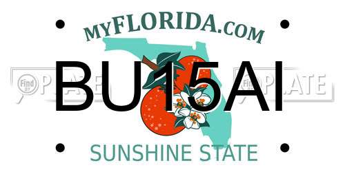 BU15AI Florida License Plate