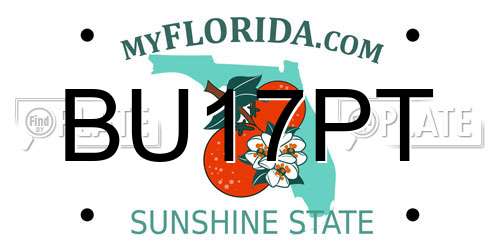 BU17PT Florida License Plate