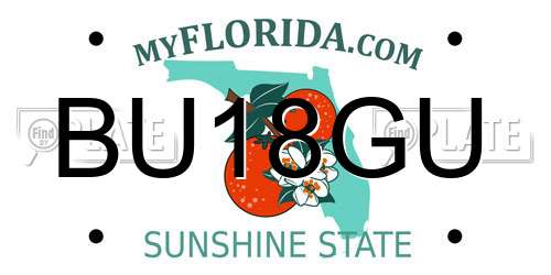BU18GU Florida License Plate