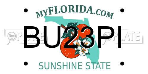 BU23PI Florida License Plate