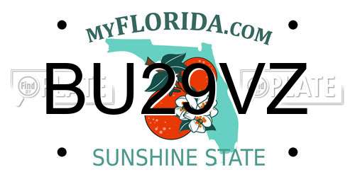 BU29VZ Florida License Plate