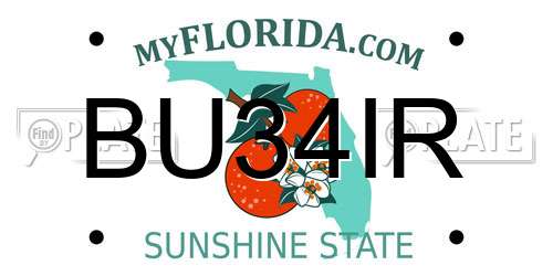 BU34IR Florida License Plate