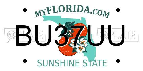 BU37UU Florida License Plate