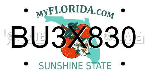 BU3X830 Florida License Plate