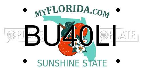 BU40LI Florida License Plate