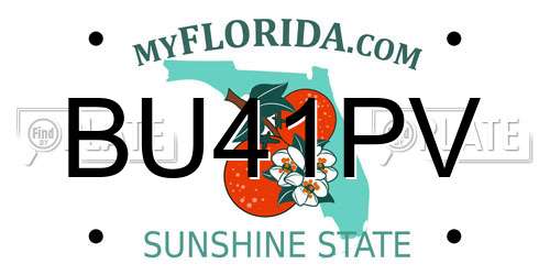 BU41PV Florida License Plate