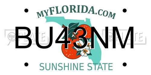 BU43NM Florida License Plate