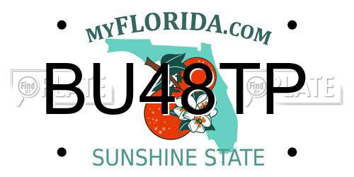 BU48TP Florida License Plate