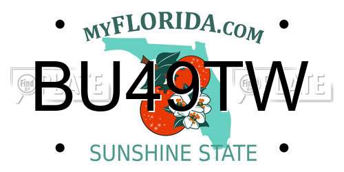 BU49TW Florida License Plate