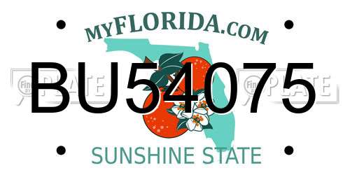 BU54075 Florida License Plate