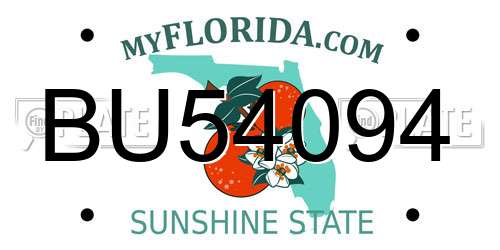 BU54094 Florida License Plate