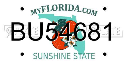 BU54681 Florida License Plate