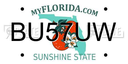 BU57UW Florida License Plate