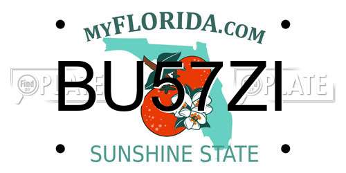 BU57ZI Florida License Plate