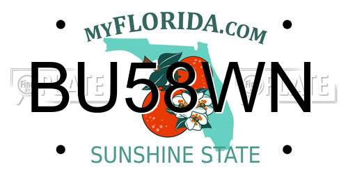 BU58WN Florida License Plate