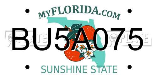 BU5A075 Florida License Plate