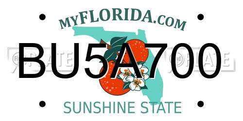 BU5A700 Florida License Plate