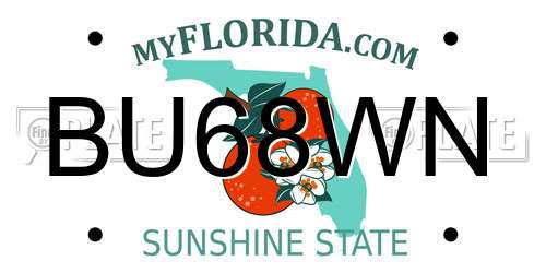BU68WN Florida License Plate