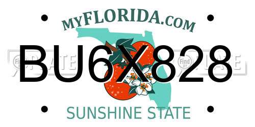 BU6X828 Florida License Plate