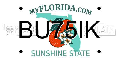 BU75IK Florida License Plate