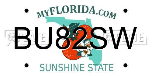 BU82SW Florida License Plate