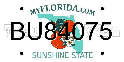 BU84075 Florida License Plate