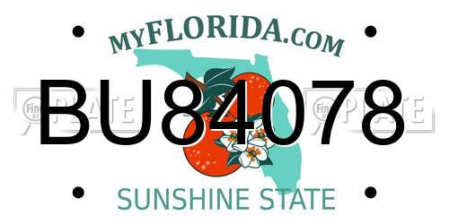BU84078 Florida License Plate