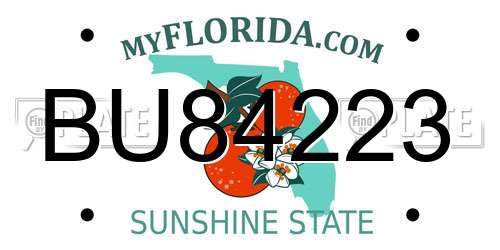 BU84223 Florida License Plate