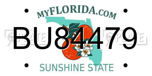 BU84479 Florida License Plate