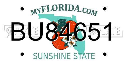 BU84651 Florida License Plate
